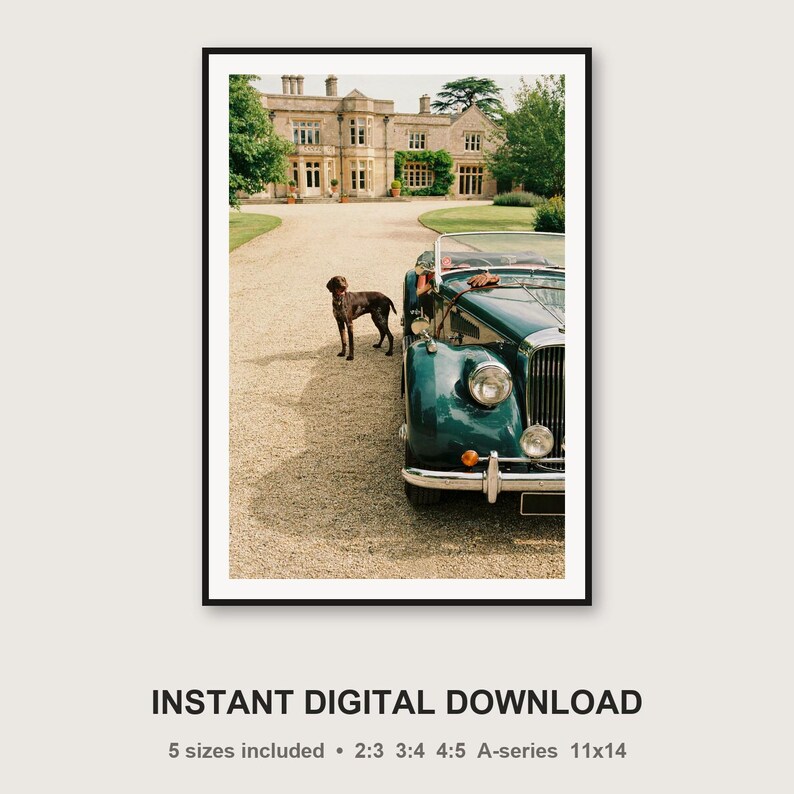 German Shorthaired Pointer Dog Beside Vintage Roadster Print | Retro Estate Photography (Digital Download) image 3