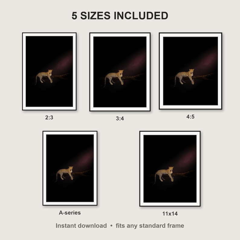 Leopard Wall Art II print size chart - 5 ratios included: 2:3, 3:4, 4:5, 11x14, ISO A