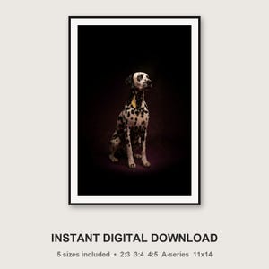 Estampado de dálmata / Decoración de perro con luz de latón / Arte editorial de lujo oscuro (descarga digital) imagen 3
