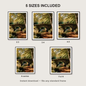 Bernese Mountain Dog Wall Art print size chart - 5 ratios included: 2:3, 3:4, 4:5, 11x14, ISO A