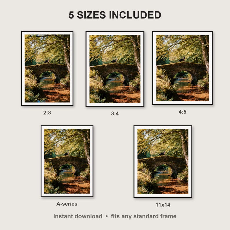 Bernese Mountain Dog Wall Art print size chart - 5 ratios included: 2:3, 3:4, 4:5, 11x14, ISO A