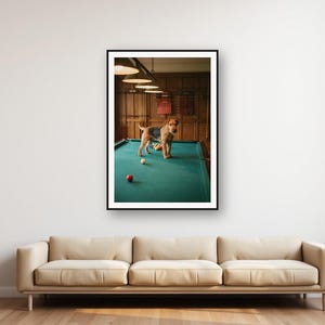 Drahthaar-Foxterrier im Billardzimmer-Print | Old Money Hundefotografie (Digitaler Download) Bild 1