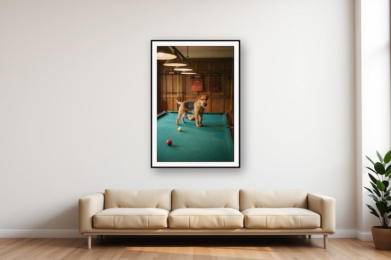 Drahthaar-Foxterrier im Billardzimmer-Print | Old Money Hundefotografie (Digitaler Download) Bild 1