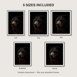 Bear Wall Art II print size chart - 5 ratios included: 2:3, 3:4, 4:5, 11x14, ISO A