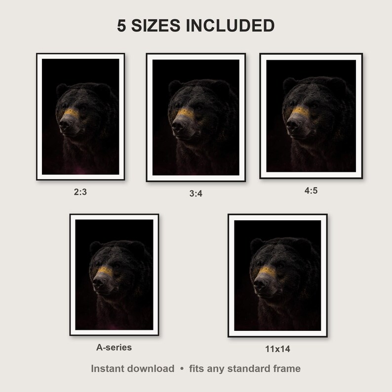 Bear Wall Art II print size chart - 5 ratios included: 2:3, 3:4, 4:5, 11x14, ISO A