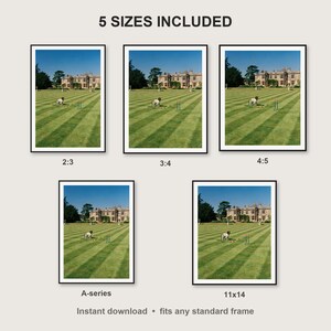Springer Spaniel Wall Art print size chart - 5 ratios included: 2:3, 3:4, 4:5, 11x14, ISO A