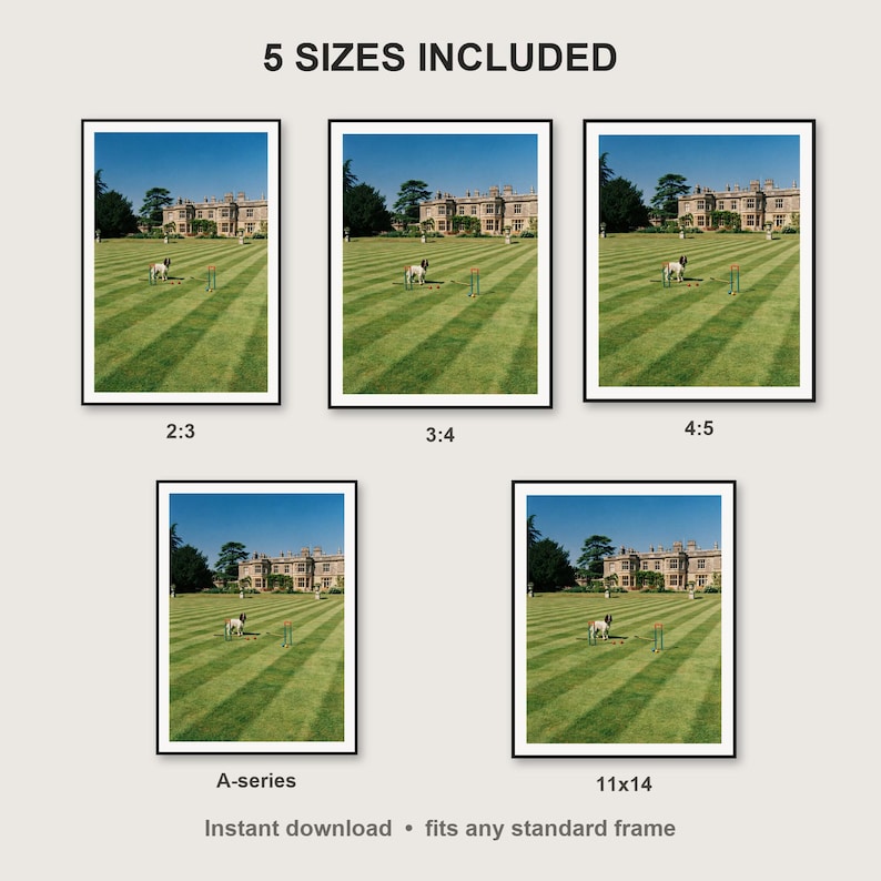 Springer Spaniel Wall Art print size chart - 5 ratios included: 2:3, 3:4, 4:5, 11x14, ISO A
