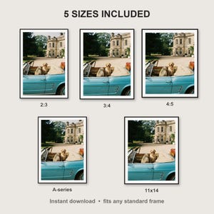 Golden Retriever Wall Art print size chart - 5 ratios included: 2:3, 3:4, 4:5, 11x14, ISO A