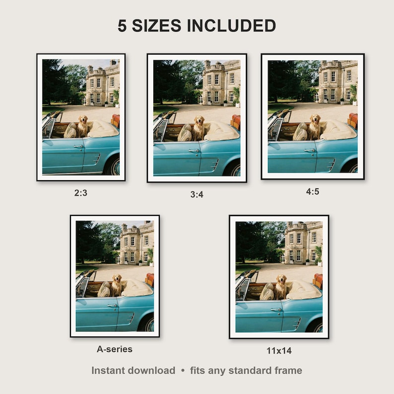 Golden Retriever Wall Art print size chart - 5 ratios included: 2:3, 3:4, 4:5, 11x14, ISO A