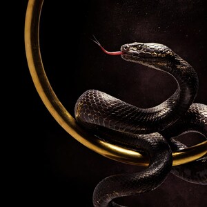Close-up detail of Serpent Wall Art II art print