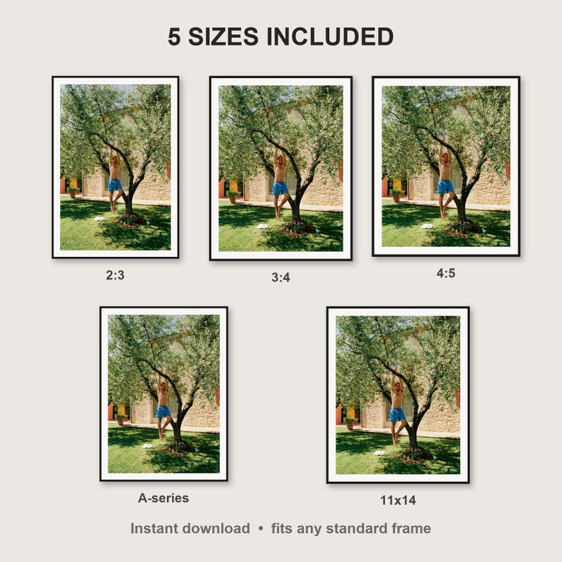 Pull Up Wall Art print size chart - 5 ratios included: 2:3, 3:4, 4:5, 11x14, ISO A