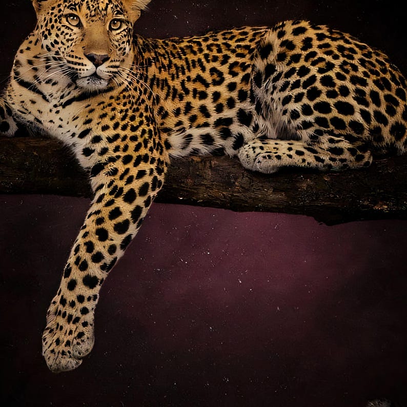 Close-up detail of Leopard Wall Art art print