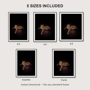 Leopard Wall Art print size chart - 5 ratios included: 2:3, 3:4, 4:5, 11x14, ISO A