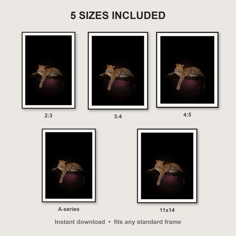 Leopard Wall Art print size chart - 5 ratios included: 2:3, 3:4, 4:5, 11x14, ISO A