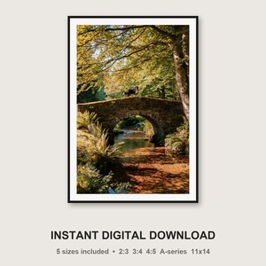 Fotografía de un perro de montaña bernés en un puente de piedra / Fotografía vintage de una finca (descarga digital) imagen 3
