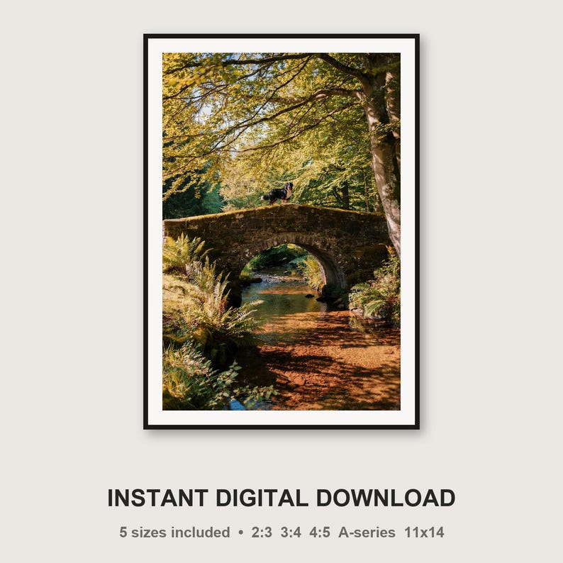 Fotografía de un perro de montaña bernés en un puente de piedra / Fotografía vintage de una finca (descarga digital) imagen 3