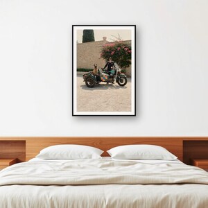 Lámina con sidecar de motocicleta de pastor belga malinois / Foto divertida de perro con gafas (descarga digital) imagen 2