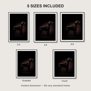 Great Dane Wall Art print size chart - 5 ratios included: 2:3, 3:4, 4:5, 11x14, ISO A