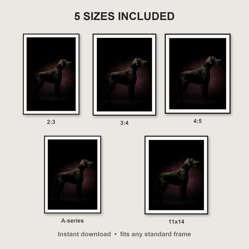 Great Dane Wall Art print size chart - 5 ratios included: 2:3, 3:4, 4:5, 11x14, ISO A