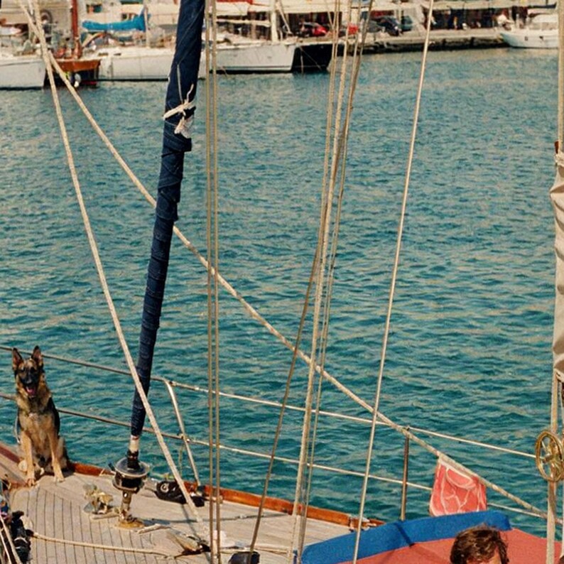 Vintagetryck av schäfer, yachtmarina | Retrofoto av segelhund (digital nedladdning) bild 4