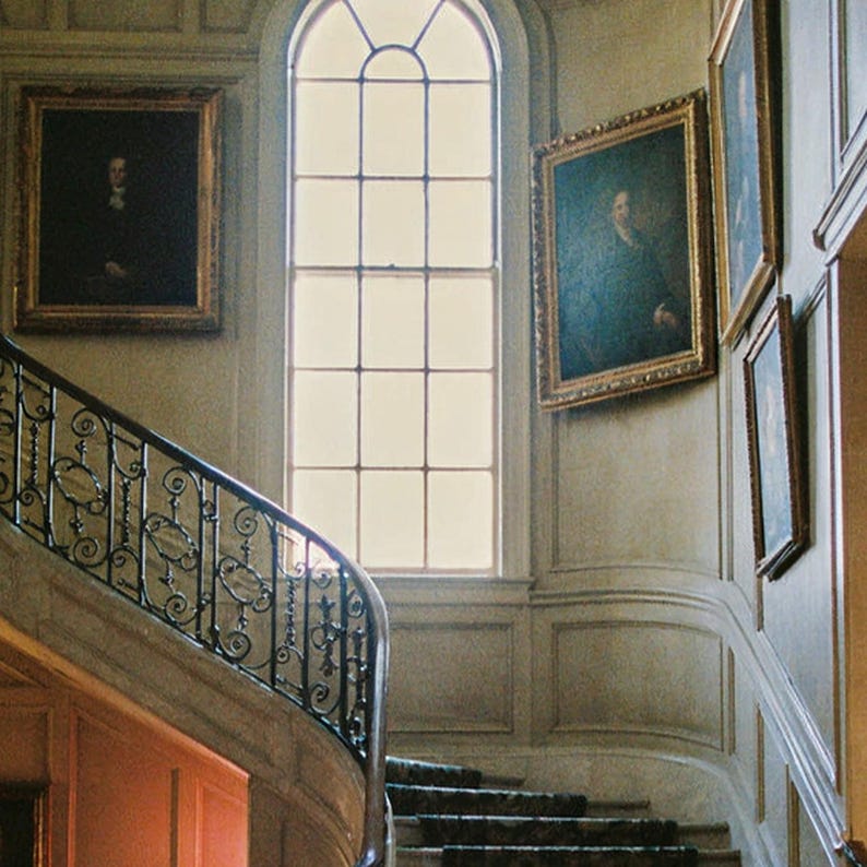 Dane Grand Staircase Print | Manor House Dog Photography (Digital Download) Bild 4