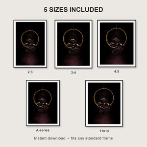 Serpent Wall Art II print size chart - 5 ratios included: 2:3, 3:4, 4:5, 11x14, ISO A