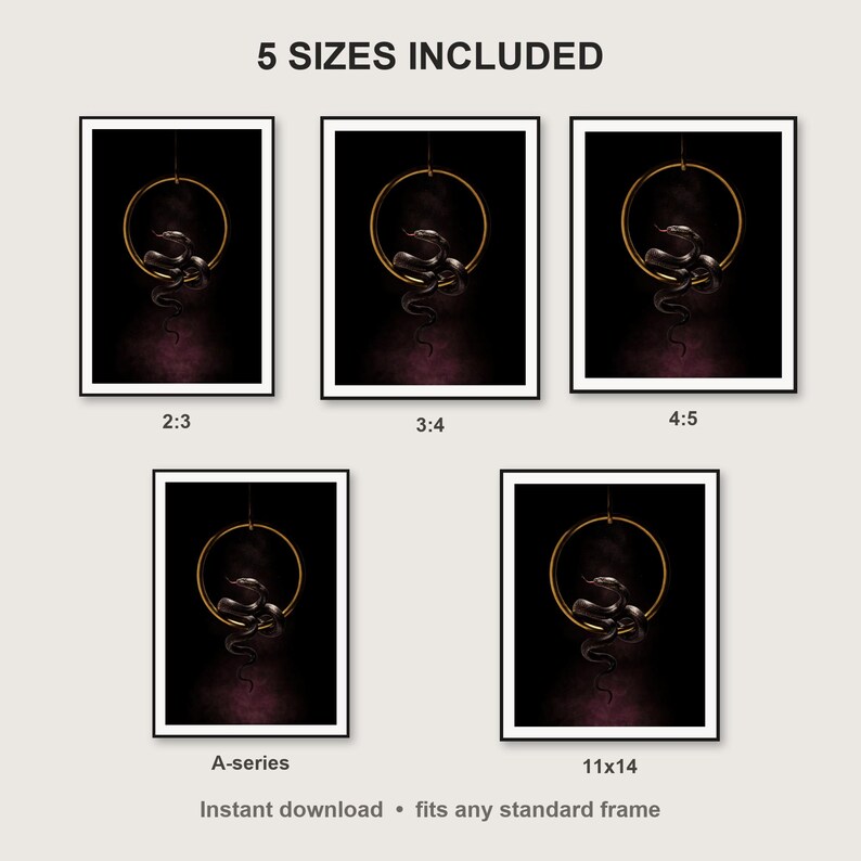 Serpent Wall Art II print size chart - 5 ratios included: 2:3, 3:4, 4:5, 11x14, ISO A