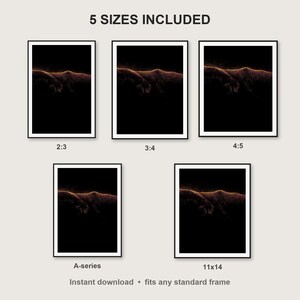 Panther Wall Art print size chart - 5 ratios included: 2:3, 3:4, 4:5, 11x14, ISO A