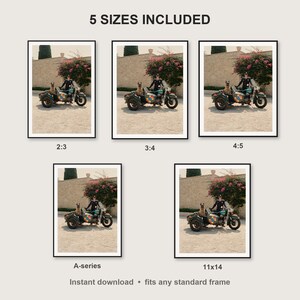 Belgian Malinois Wall Art print size chart - 5 ratios included: 2:3, 3:4, 4:5, 11x14, ISO A