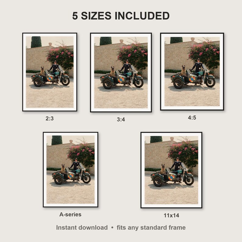 Belgian Malinois Wall Art print size chart - 5 ratios included: 2:3, 3:4, 4:5, 11x14, ISO A