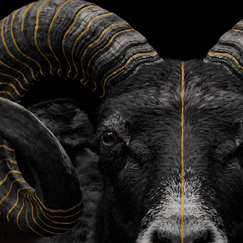 Close-up detail of Ram Wall Art art print