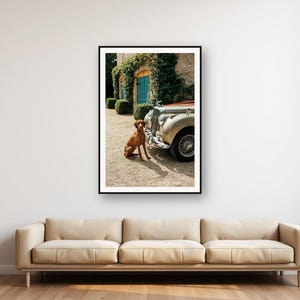 Vizsla-Hund-Bentley-Druck | Oldtimer-Fotografie (Digitaler Download) Bild 1