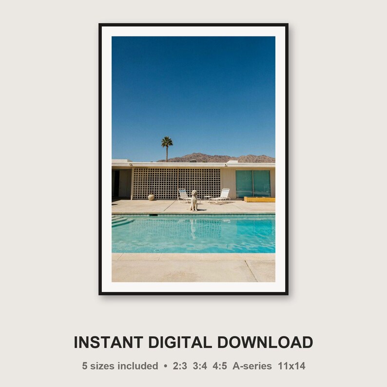 Fotografía de un caniche estándar en la piscina de Palm Springs / Fotografía canina de mediados de siglo (descarga digital) imagen 3