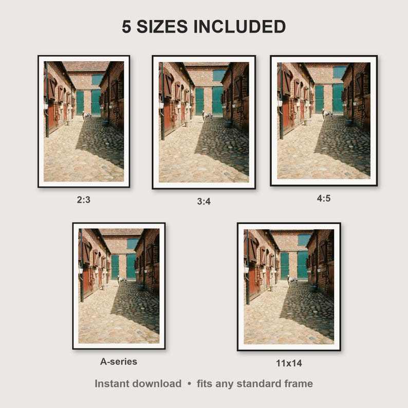 Dalmatian Wall Art print size chart - 5 ratios included: 2:3, 3:4, 4:5, 11x14, ISO A