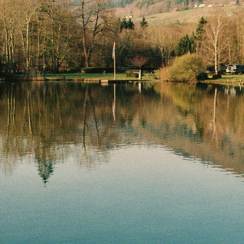 Stampa di un Border Collie sul molo del lago / Fotografia vintage di un cane (Download digitale) immagine 4