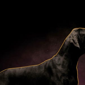 Dane Wall Art | Brass Line Dog Print | Dark Luxury Editorial (Digital Download) image 4