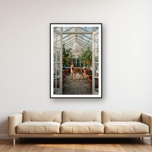 Rhodesian Ridgeback Orangery Print | Vintage Dog Photography (Digital Download) image 1