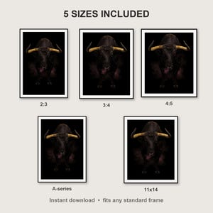 Bull Wall Art III print size chart - 5 ratios included: 2:3, 3:4, 4:5, 11x14, ISO A