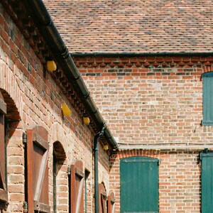 Close-up detail of Dalmatian Wall Art art print