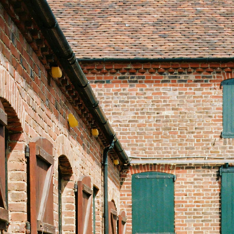 Close-up detail of Dalmatian Wall Art art print