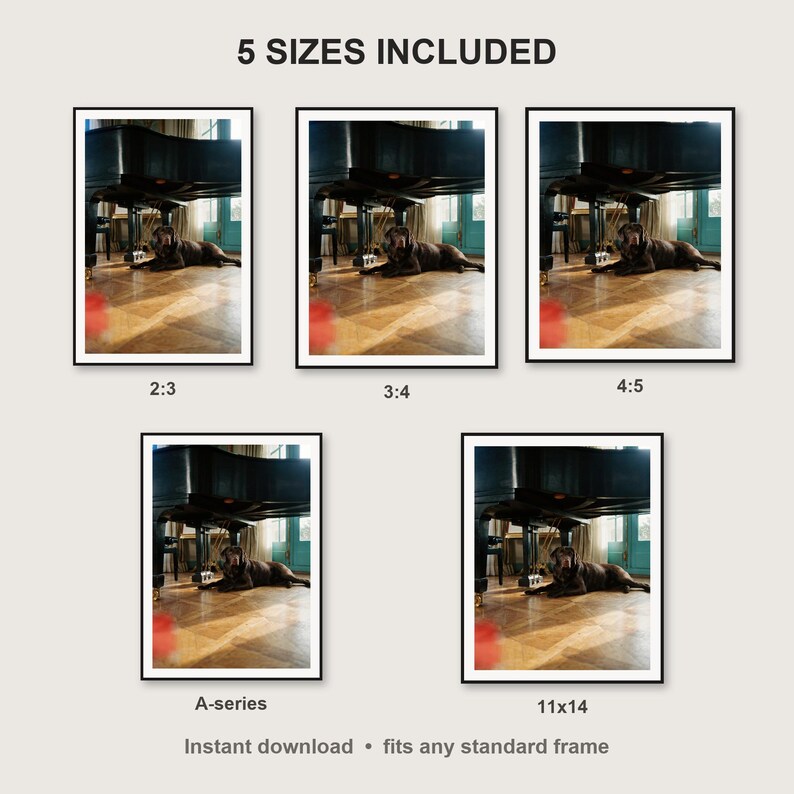 Chocolate Labrador Wall Art print size chart - 5 ratios included: 2:3, 3:4, 4:5, 11x14, ISO A