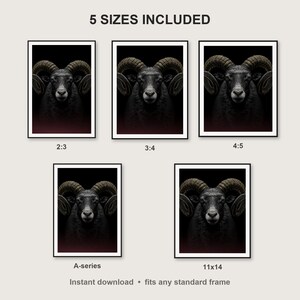 Ram Wall Art II print size chart - 5 ratios included: 2:3, 3:4, 4:5, 11x14, ISO A