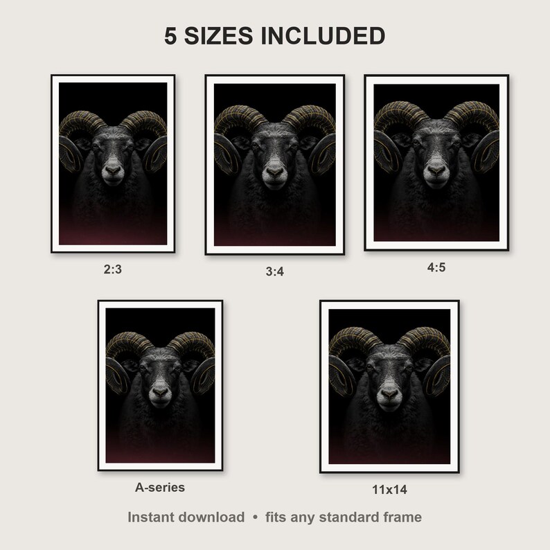 Ram Wall Art II print size chart - 5 ratios included: 2:3, 3:4, 4:5, 11x14, ISO A