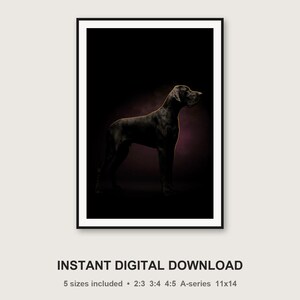 Dane Wall Art | Brass Line Dog Print | Dark Luxury Editorial (Digital Download) image 3