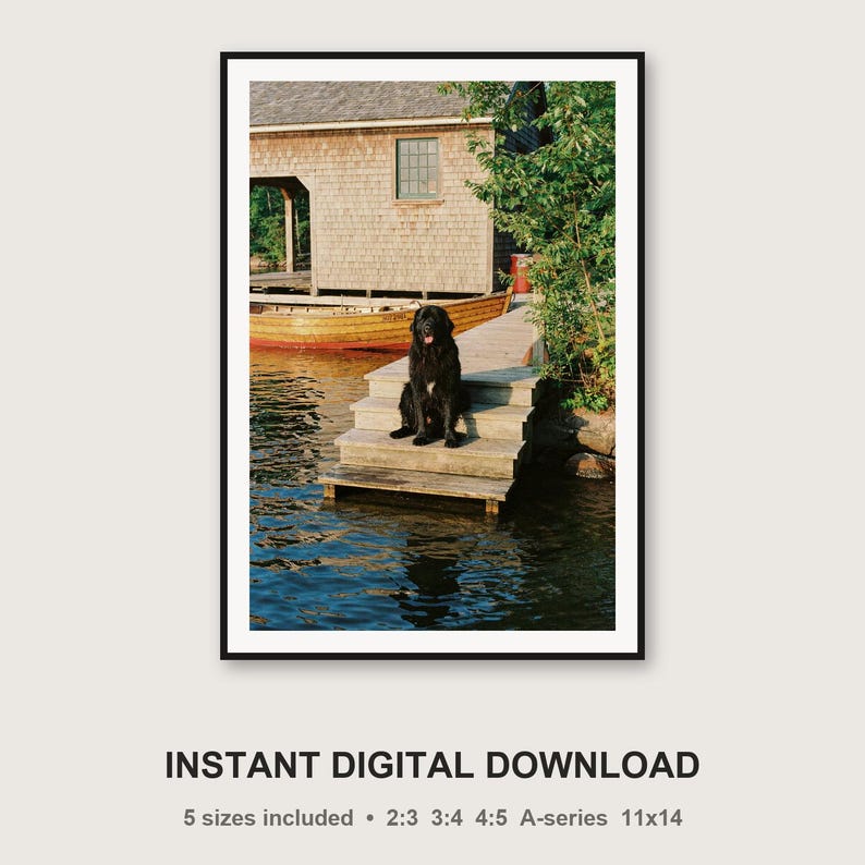 Quadro decorativo com casinha de barco para cães Terra Nova | Arte de parede vintage para casa de lago (Download digital) imagem 3