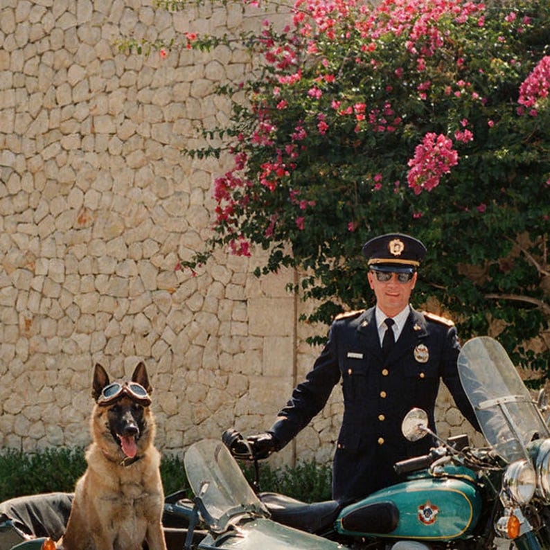 Lámina con sidecar de motocicleta de pastor belga malinois / Foto divertida de perro con gafas (descarga digital) imagen 4