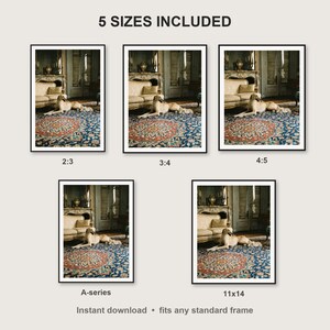 Saluki Wall Art print size chart - 5 ratios included: 2:3, 3:4, 4:5, 11x14, ISO A