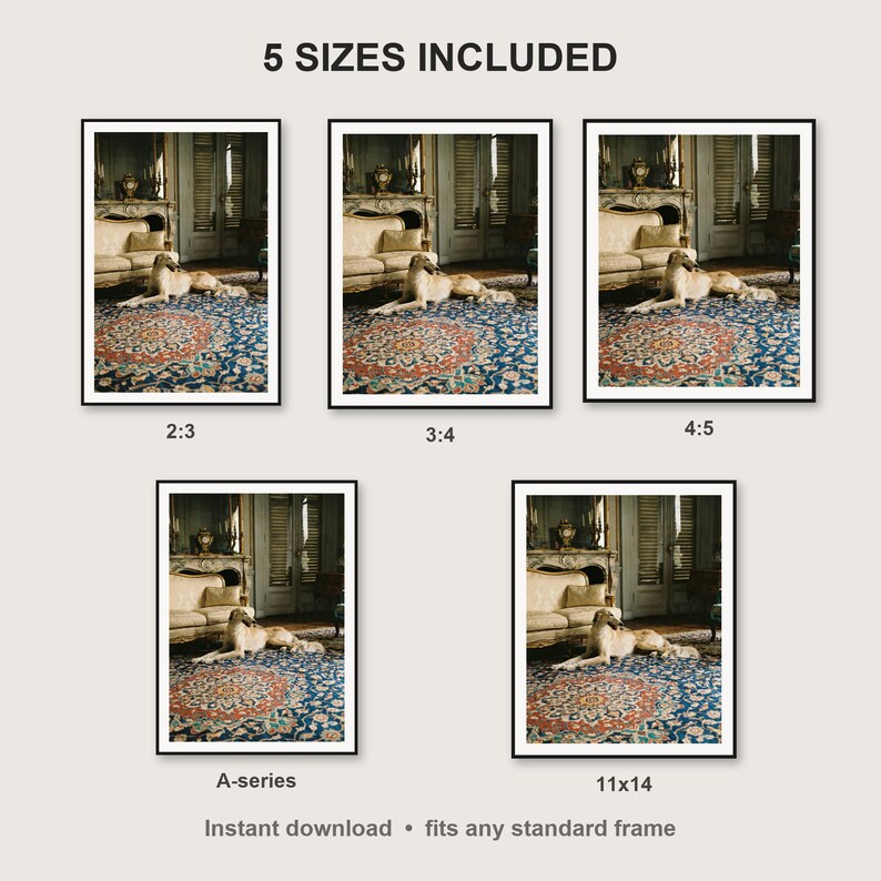 Saluki Wall Art print size chart - 5 ratios included: 2:3, 3:4, 4:5, 11x14, ISO A