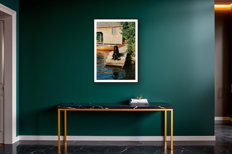 Newfoundland Dog Wall Art art print on a brass and black console vignette