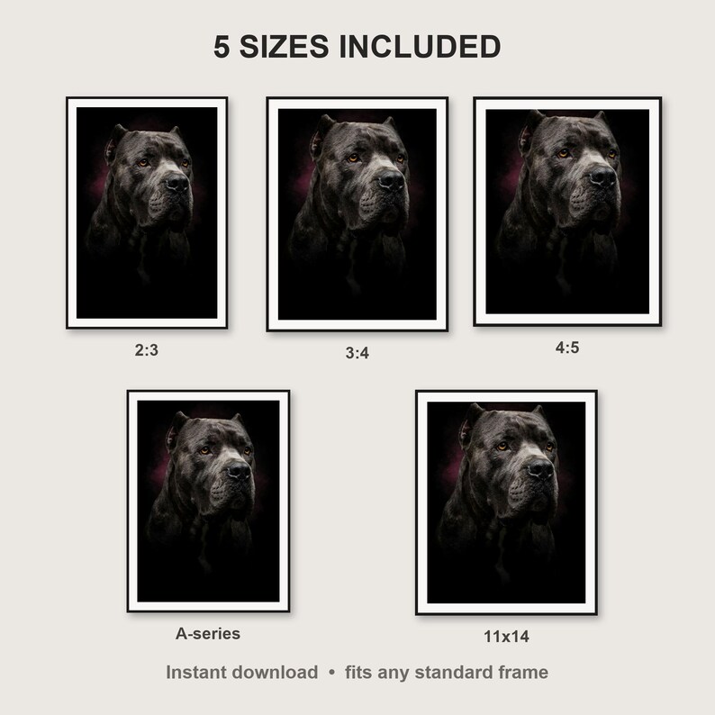 Cane Corso Wall Art print size chart - 5 ratios included: 2:3, 3:4, 4:5, 11x14, ISO A